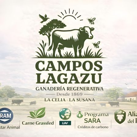 Caso Campos Lagazu